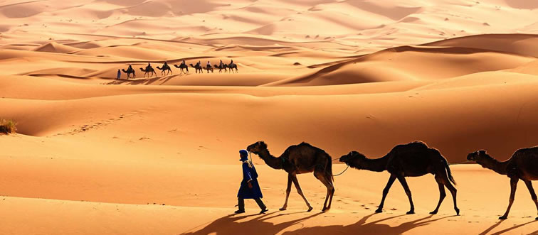 Serve up some heat: on which vast continent will you find the sweeping sands of the Sahara Desert?